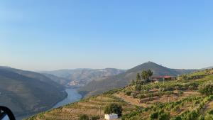 
a view from a boat looking out over the water at Quinta da Casa Cimeira, Guest House, Wines & Food in Valença do Douro
