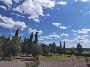 einen Park mit Zypressen und einem blauen Himmel mit Wolken in der Unterkunft Agriturismo San Pierino in Monteroni dʼArbia