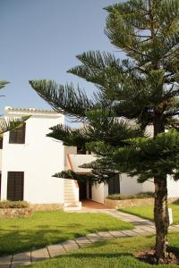 a pine tree in front of a white building at Apart. Barracuda in Vilamoura