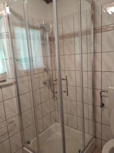y baño con ducha y puerta de cristal. en Kuća za odmor Rubeša, en Turke