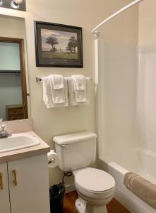 a bathroom with a toilet and a sink and a shower at St. Andrews By The Lake in Kaleden