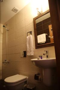 a bathroom with a toilet and a sink and a mirror at Osmanli Marco Pasha Hotel in Tarsus
