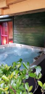 a pool of water with a plant in the foreground at Le Pavillon in Cours la Ville