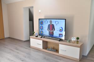 TV a/nebo společenská místnost v ubytování Berlin apartment