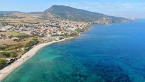 an aerial view of a beach and the ocean at Villa Paola in Valledoria