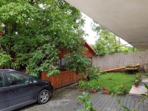 Gallery image of Gold Fayen House Cheile Turului in Tureni