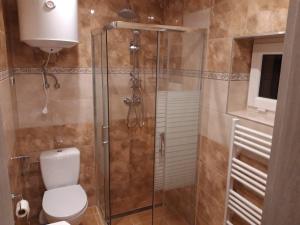 La salle de bains est pourvue de toilettes et d'une douche en verre. dans l'établissement Gajówka, à Radków