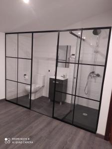 a bathroom with a shower and a toilet in a room at Casa de la Abuela en el Camino de Santiago a Finiesterre in Negreira