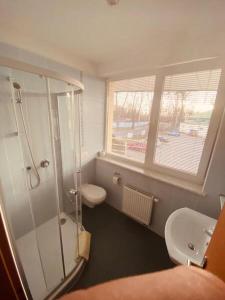 a bathroom with a shower and a toilet and a sink at Penzion Na Kurtech in Opava