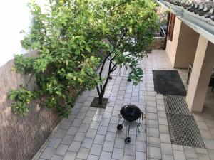 Zahrada ubytování villa Orchidee Sardegna