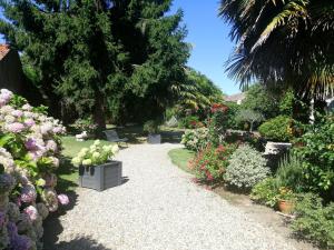 a garden with a bunch of flowers and plants at Les Hortensias - Chambres d'hôtes in Saint-Antoine-de-Breuilh