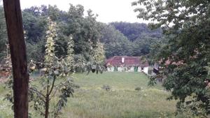 グチャにあるGuca village homeのギャラリーの写真