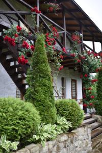 Zahrada ubytování Zorianyy Guest House