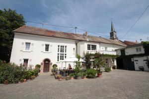 a large white building with a courtyard with potted plants at Bio-Weingut, Gästehaus und Kräuterhof in Flomborn