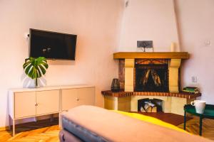 a living room with a fireplace and a flat screen tv at Czas na Puszczę in Puszcza Mariańska