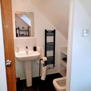 a bathroom with a sink and a toilet at Ness City Cottage in Inverness