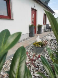 een tuin voor een huis met een vogelstandbeeld bij Haus Ostwind in Zinnowitz