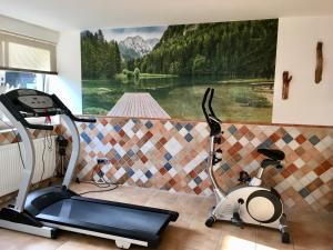 Fitnesscentret og/eller fitnessfaciliteterne på Naturforsthaus Gartenblick für tier- und naturverbundene Menschen