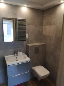 La salle de bains est pourvue d'un lavabo blanc et de toilettes. dans l'établissement Samodzielne mieszkanie na parterze domu, à Gardna Wielka