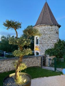 Un árbol en una maceta frente a un edificio. en Domaine de Suzel Hôtel & Spa, en Vignieu