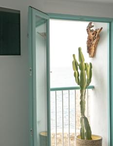 a cactus in a pot in front of a window at Respirar in Peñíscola