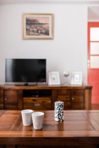 TV a/nebo společenská místnost v ubytování Apartment Teatar
