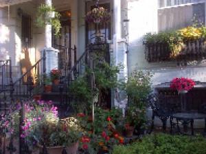 um monte de vasos de plantas em frente a um edifício em Ledroit Park Renaissance Bed and Breakfast em Washington