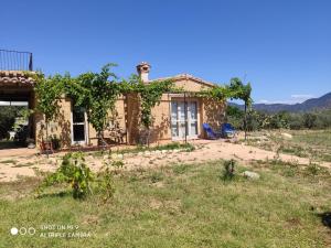 an old house with vines growing on it at Appartamento a Feraxi in Muravera