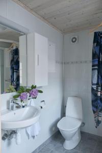 a white bathroom with a toilet and a sink at Vangsgaarden Gjestgiveri in Aurland