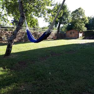 a hammock hanging from a tree in a yard at Gîte La Grange in Saint-Laurent-dʼOlt