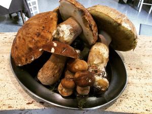 una ciotola di diversi tipi di funghi su un tavolo di Albergo Ristorante Terme ad Acquasanta Terme