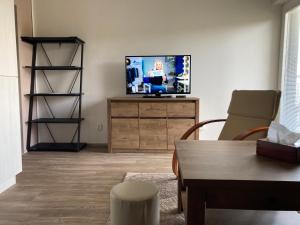 TV a/nebo společenská místnost v ubytování Klínovecký Apartmánek