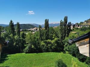 a view of a yard with trees at Apartamentos Chuandervera in Laspaúles