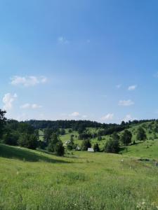 Pokrajina v okolici hotela