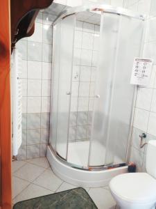 a bathroom with a shower and a toilet at Borsuki pod Lipą in Sarnaki