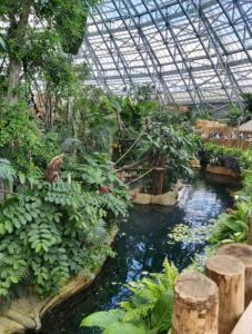 une serre avec un bassin d'eau et de plantes dans l'établissement le gîte le CAMÉLIA, à Saint-Aignan