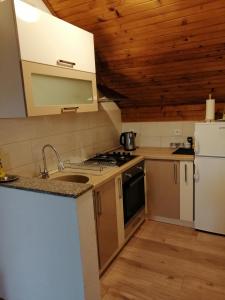 een kleine keuken met een wastafel en een koelkast bij House Mihaela&nina in Seliste Dreznicko