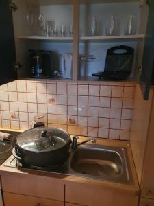 um lavatório de cozinha com uma panela em cima em Apartment at Tony em Semič