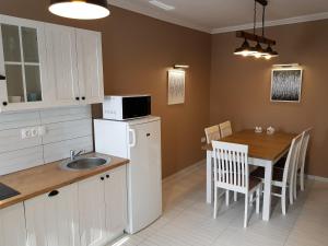 Kuchyň nebo kuchyňský kout v ubytování Rigó Apartman