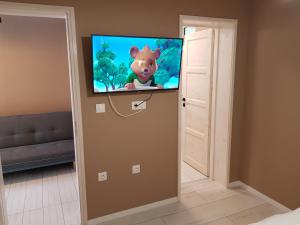 TV a/nebo společenská místnost v ubytování Rigó Apartman