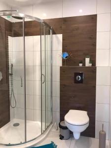 ein Badezimmer mit Dusche und Toilette in der Unterkunft Pokoje Gościnne 4 Pory Roku in Klimkówka + 56 Fotos