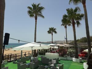 a beach with chairs and umbrellas and palm trees at Front Beach Apartment - Quinta da Barracuda in Albufeira