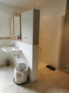 a bathroom with a sink and a bucket at Ferienwohnung "No. 70" in Stadthagen