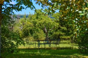 una mesa de picnic a la sombra de un árbol en La Bastide Du Claus - Vitaverde, en Cruis