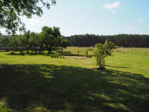 Príroda v okolí dovolenkového domu