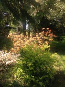 Afbeelding uit fotogalerij van Ekoturystyka Nowina in Nowina