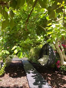 a garden with a stone path and a tree at The Devonian in Ilfracombe