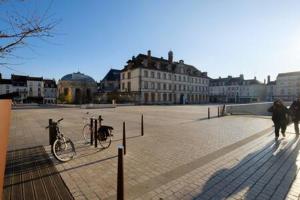 楓丹白露的住宿－le petit France - Hyper centre de Fontainebleau - proche INSEAD，骑着自行车和狗在街上行走的人