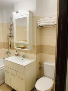 コンスタンツァにあるApartament Unirii 68のバスルーム(トイレ、洗面台、鏡付)