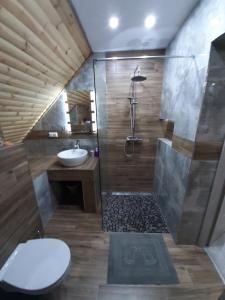 uma casa de banho com um chuveiro, um WC e um lavatório. em Apartament Górski Raj em Świeradów-Zdrój